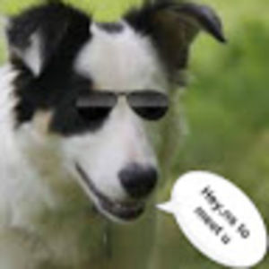 Meet your Posher, Dennis